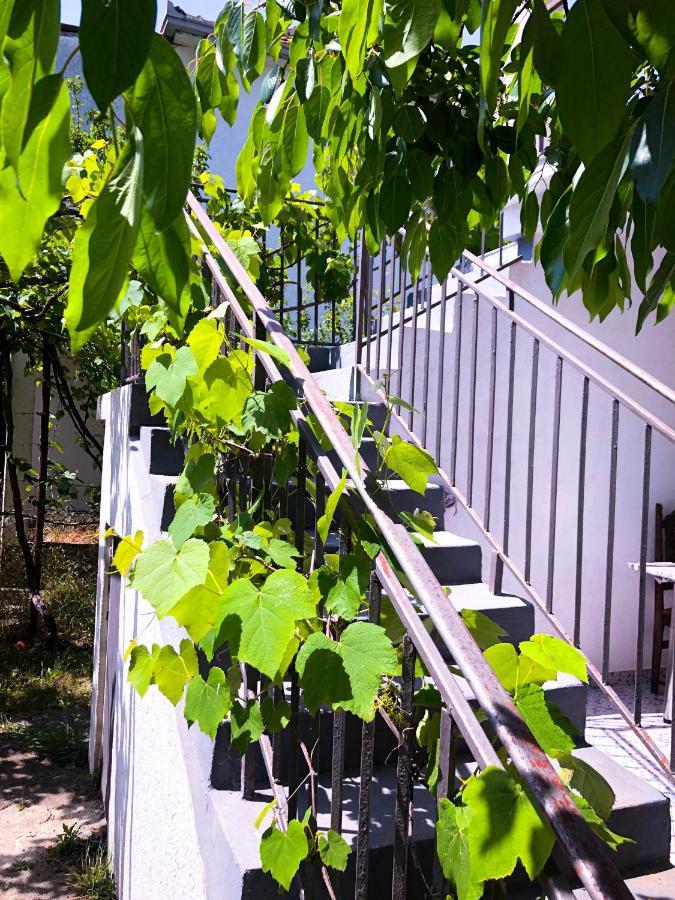 Renata Holiday Apartments Ulcinj Exterior foto