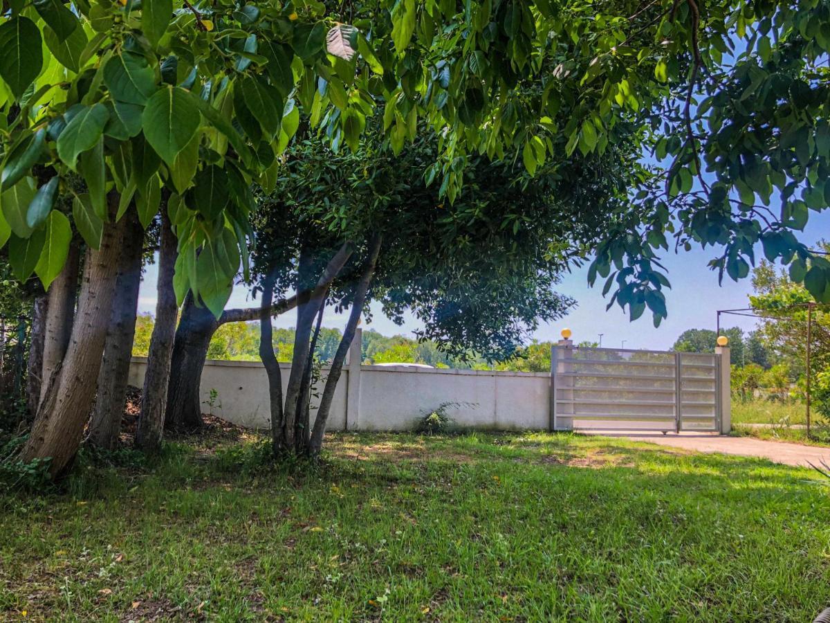 Renata Holiday Apartments Ulcinj Exterior foto